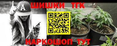 МДПВ Гусев
