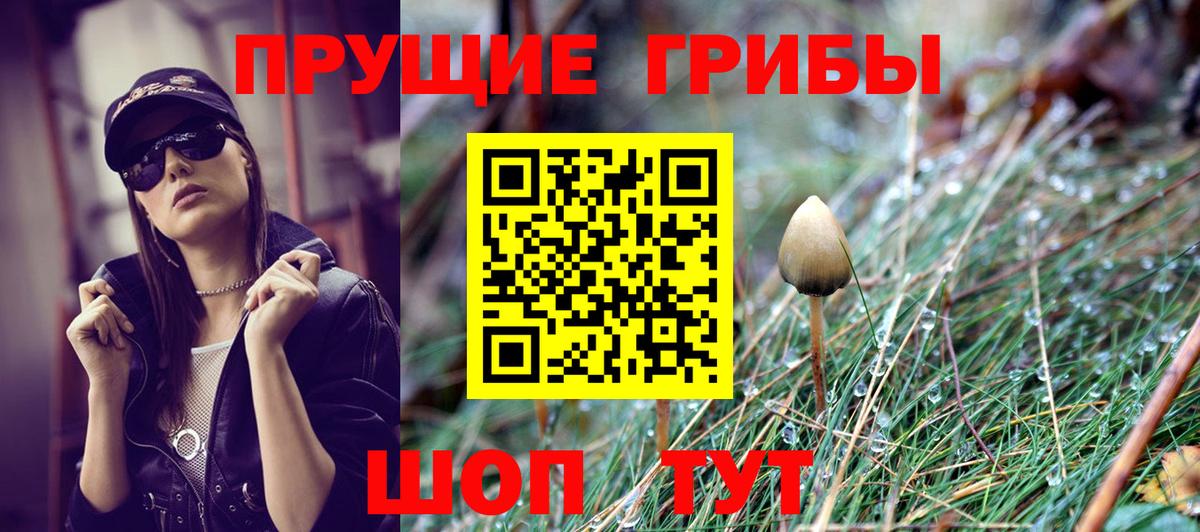 Псилоцибиновые грибы ЛСД Мурино
